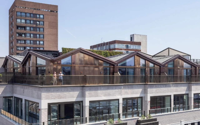 DL-BGY-72BS-8243-Alt-PR-1